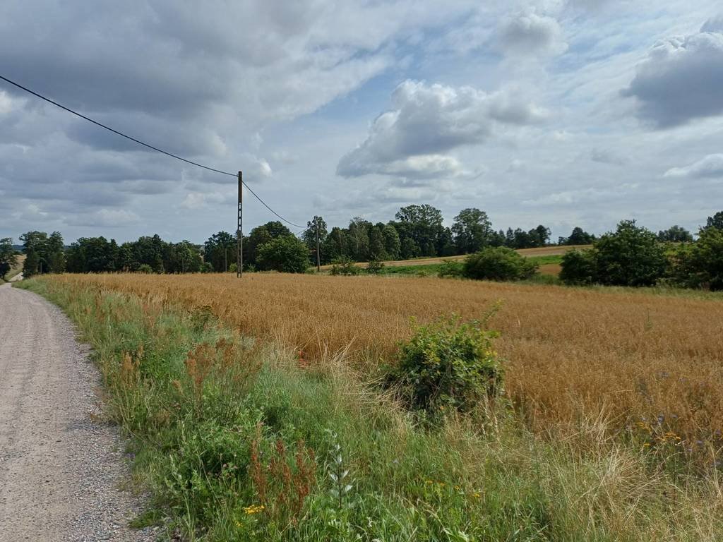 Działka budowlana 1004 m2 z warunkami zabudowy w Żukowie Żukowo, Dębowa  1 004m2 Foto 1