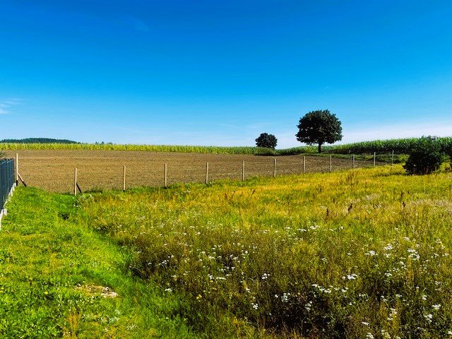 Działka budowlana na sprzedaż Borowy Młyn, Jana Pawła II  1 498m2 Foto 4