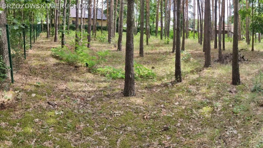 Działka budowlana na sprzedaż Hornówek  2 000m2 Foto 3