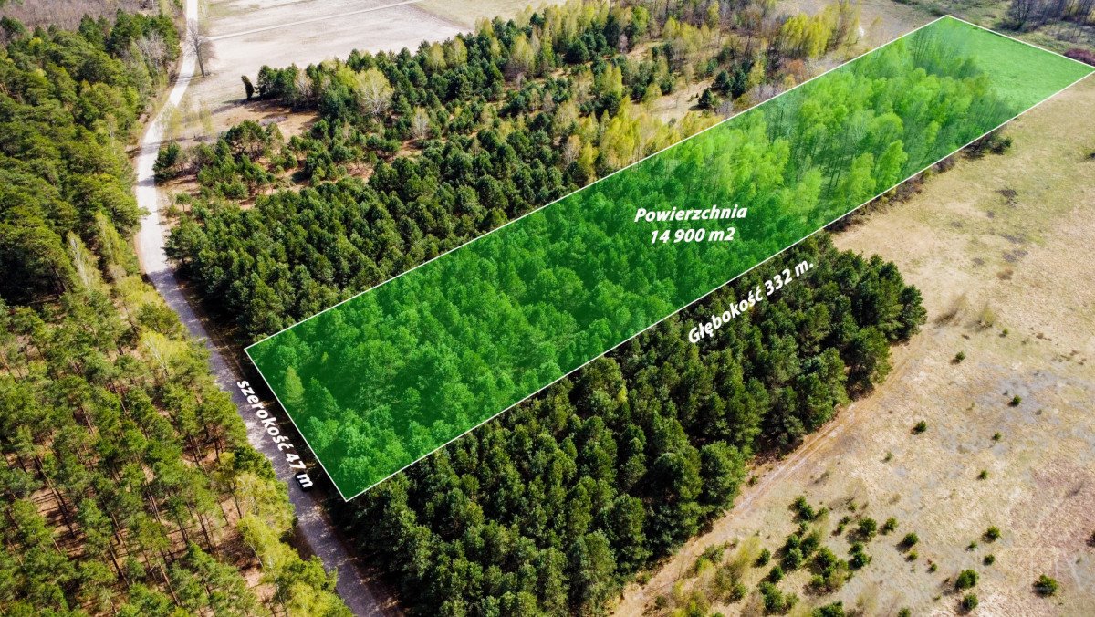 Działka 14 900 m² z lasem i planem zabudowy - zapraszam Dębienica  14 900m2 Foto 1