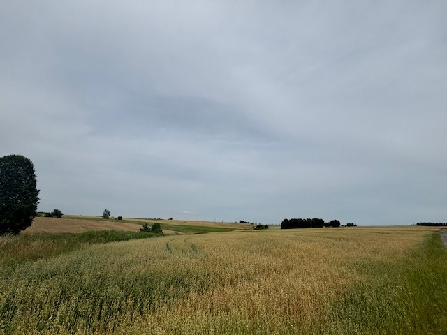 Działka inwestycyjna na sprzedaż Gryfów Śląski  5 400m2 Foto 3