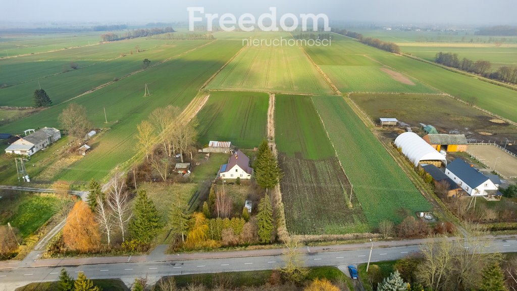 Działka budowlana na sprzedaż Leszkowy  4 003m2 Foto 4