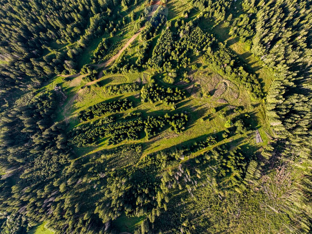 Działka rolna na sprzedaż Dzianisz  6 560m2 Foto 8