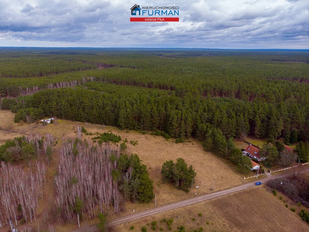 Działka budowlana na sprzedaż Czechyń  1 699m2 Foto 7