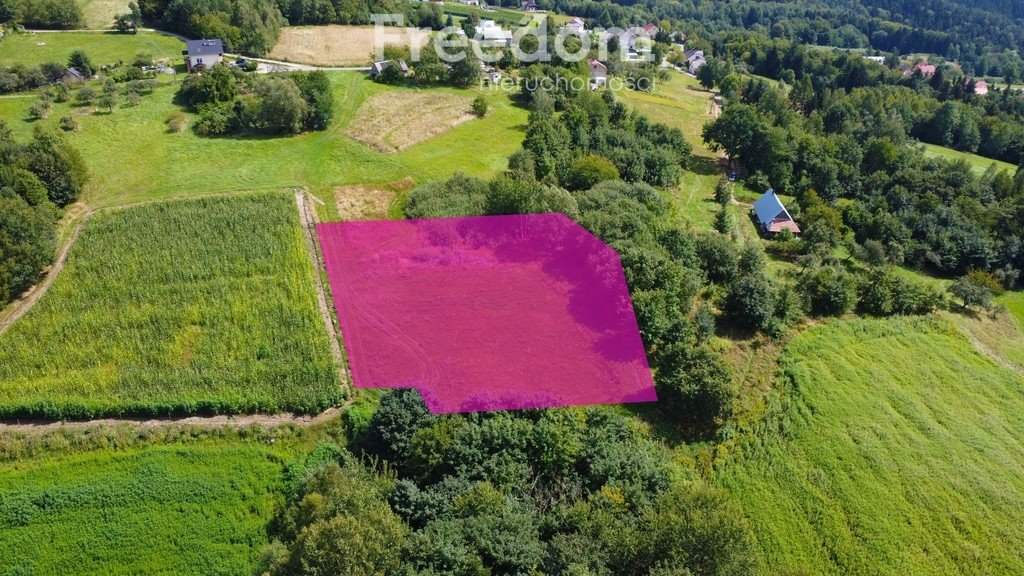 Działka inna na sprzedaż Korczyna, Podzamcze  3 000m2 Foto 2