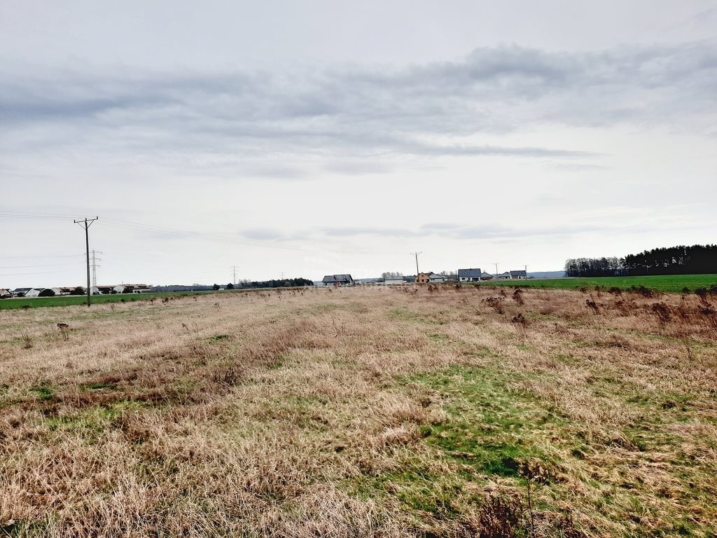 Działka budowlana na sprzedaż Bolesławiec  1 329m2 Foto 2