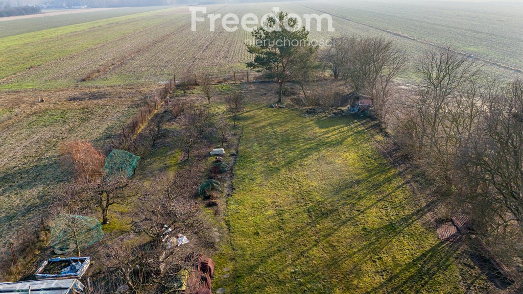 Działka budowlana na sprzedaż Bogatki, Królewska  1 350m2 Foto 7