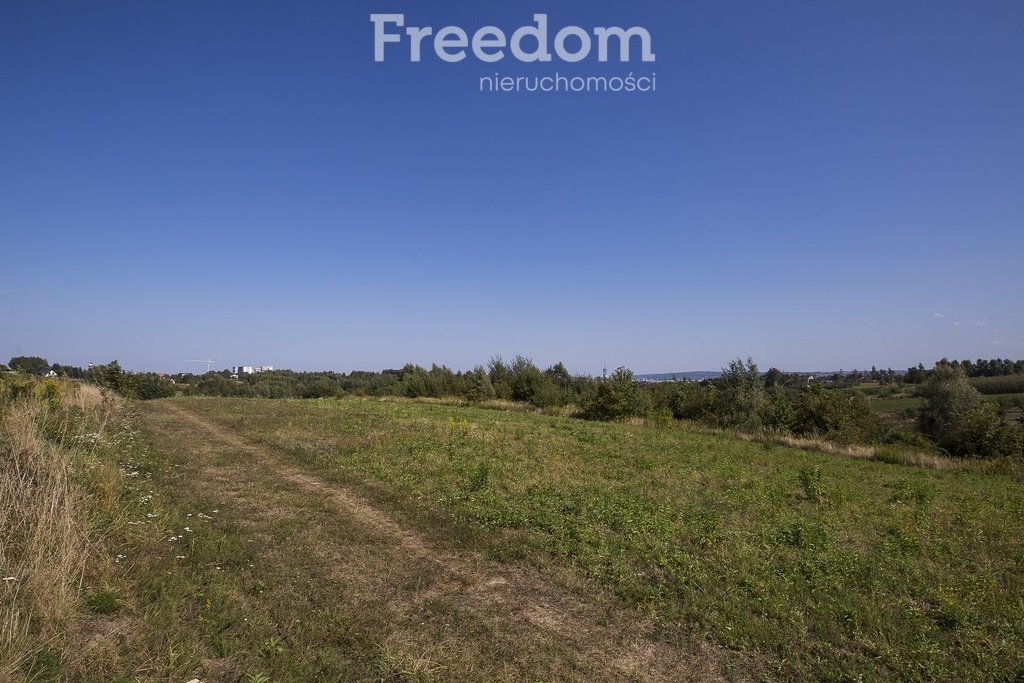 Działka budowlana na sprzedaż Kielanówka  5 500m2 Foto 11