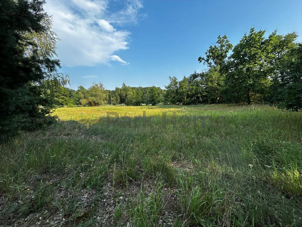 Działka budowlana 4900 m² w Gołaszynie - potencjał i prywatność Gołaszyn  4 992m2 Foto 1