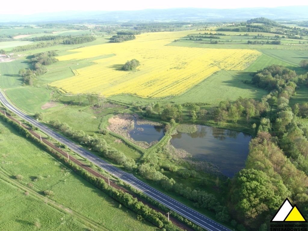 Duża działka inwestycyjna 21 ha z stawami i możliwością zabudowy Krzewie Wielkie  211 900m2 Foto 1