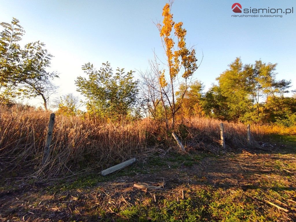 Działka inna na sprzedaż Wojkowice  1 191m2 Foto 6