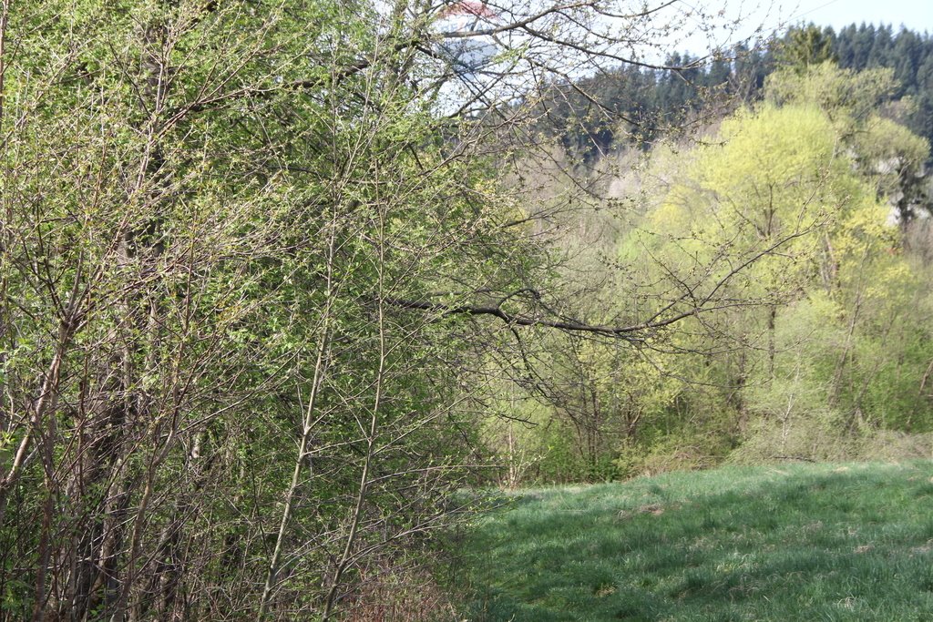 Działka budowlana na sprzedaż Skomielna Biała  14 949m2 Foto 20