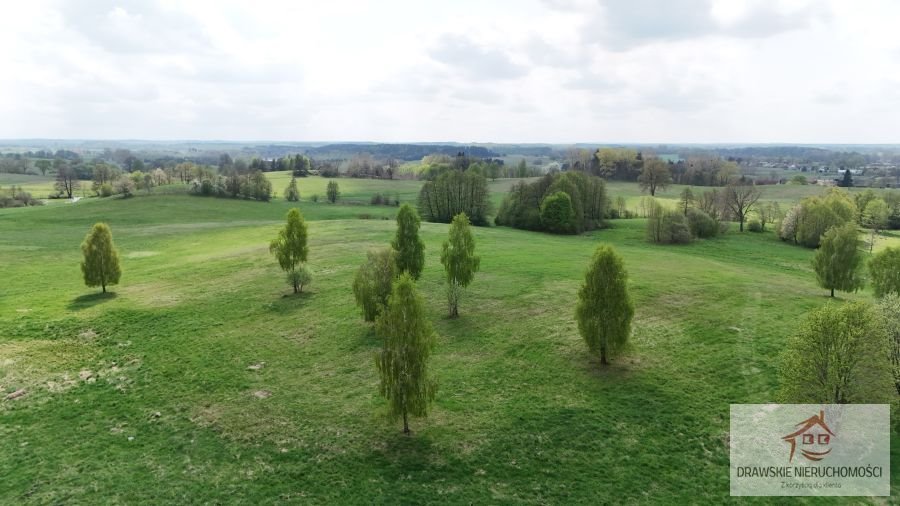 Działka rolna 36 900 m² z dostępem do mediów, blisko Nowe Worowo Nowe Worowo, Nowe Worowo  36 900m2 Foto 1