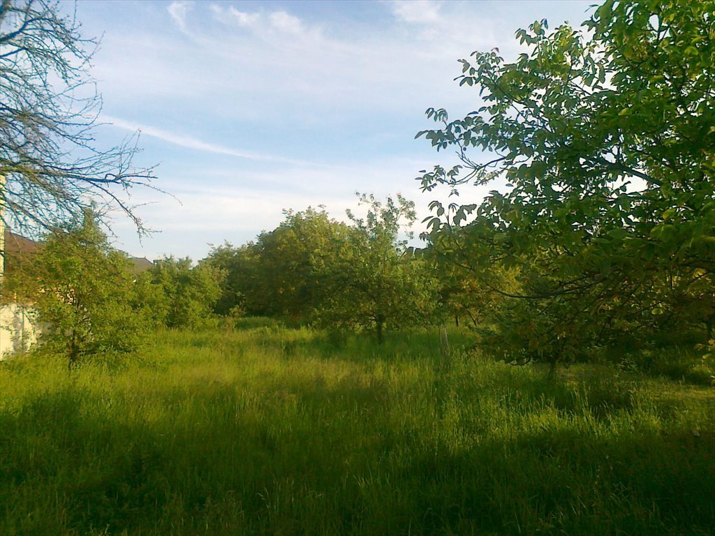 Działka budowlana na sprzedaż Otwock Wielki, zamkowa 1 1 375m2 Foto 1 Działka budowlana na sprzedaż Otwock Wielki, zamkowa 1 1 375m2 Foto 1