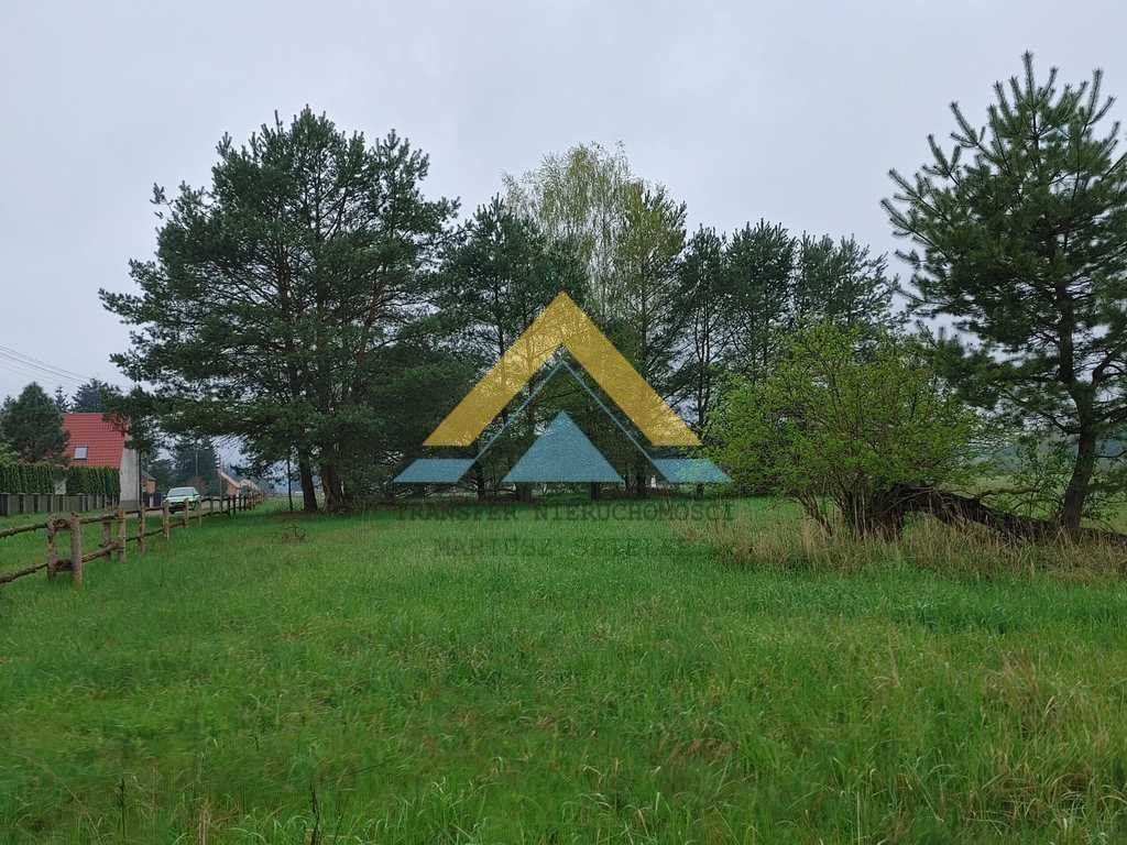 Działka budowlana na sprzedaż Łasko  6 900m2 Foto 11