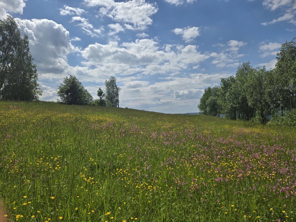 Działka inwestycyjna 4008 m² w Bobowej z mediami - polecam! Bobowa, Akacjowa  4 008m2 Foto 1