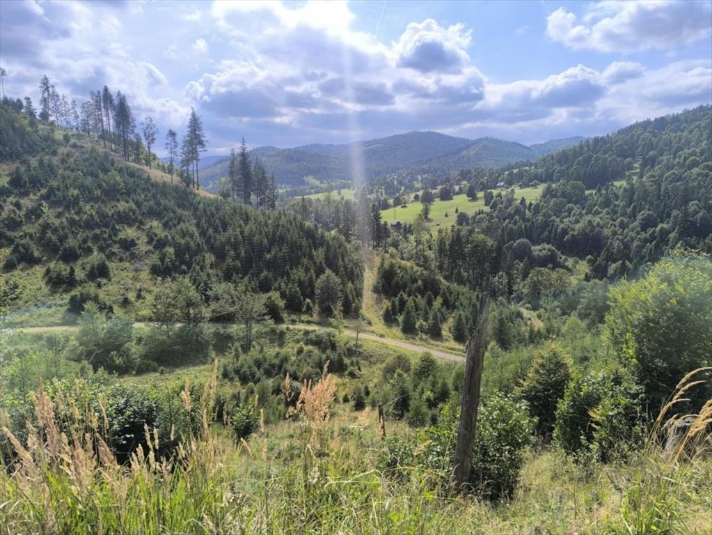 Polecam działki rolno-leśne z pięknymi widokami w Rycerce Górnej Rycerka Górna  6 091m2 Foto 1