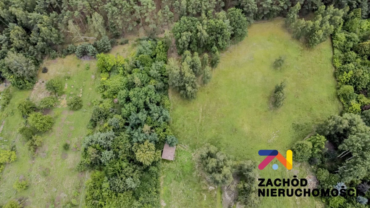 Polecam działkę 3001 m² z warunkami zabudowy w Droszkowie Droszków  3 001m2 Foto 1