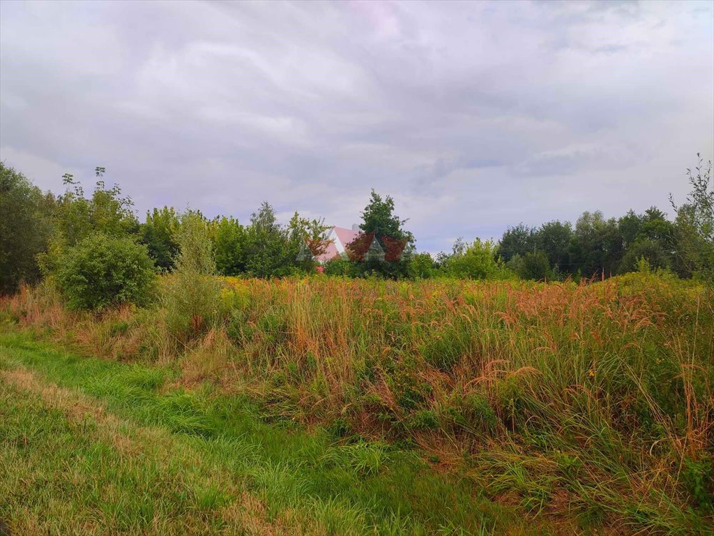 Działka 8 765 m² z domem, dostęp do dróg, podział Budy Zosine, Generała Skokowskiego  8 765m2 Foto 1