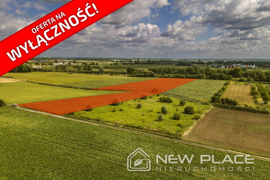 Działka przemysłowo-handlowa na sprzedaż Kamieniec Wrocławski, Festynowa  11 779m2 Foto 1