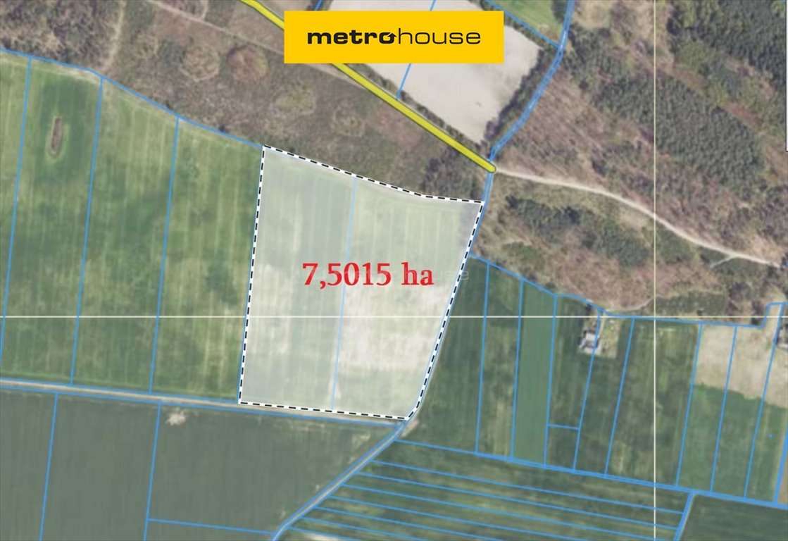 Działka rolno-siedliskowa 7,5 ha z dostępem do lasu i jeziora Zajączkowo  75 015m2 Foto 1