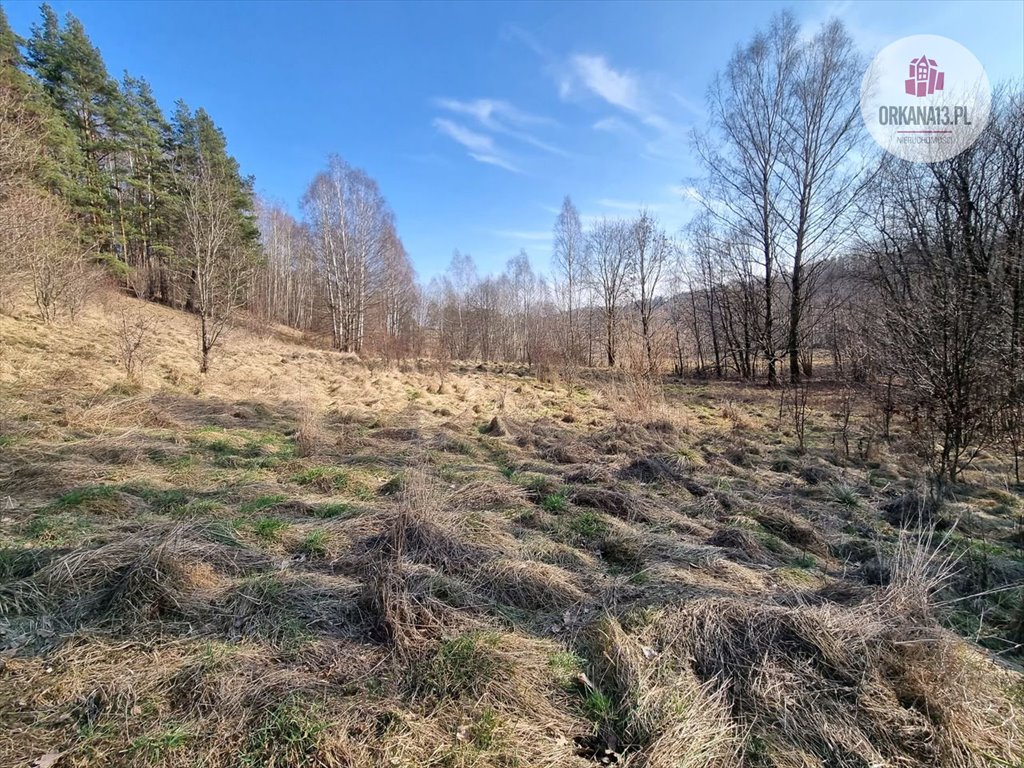 Działka budowlana na sprzedaż Spręcowo, Spręcowo  8 598m2 Foto 1