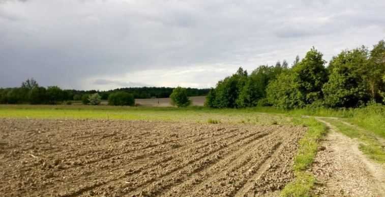 Działka inna na sprzedaż Strzelin  7 400m2 Foto 4