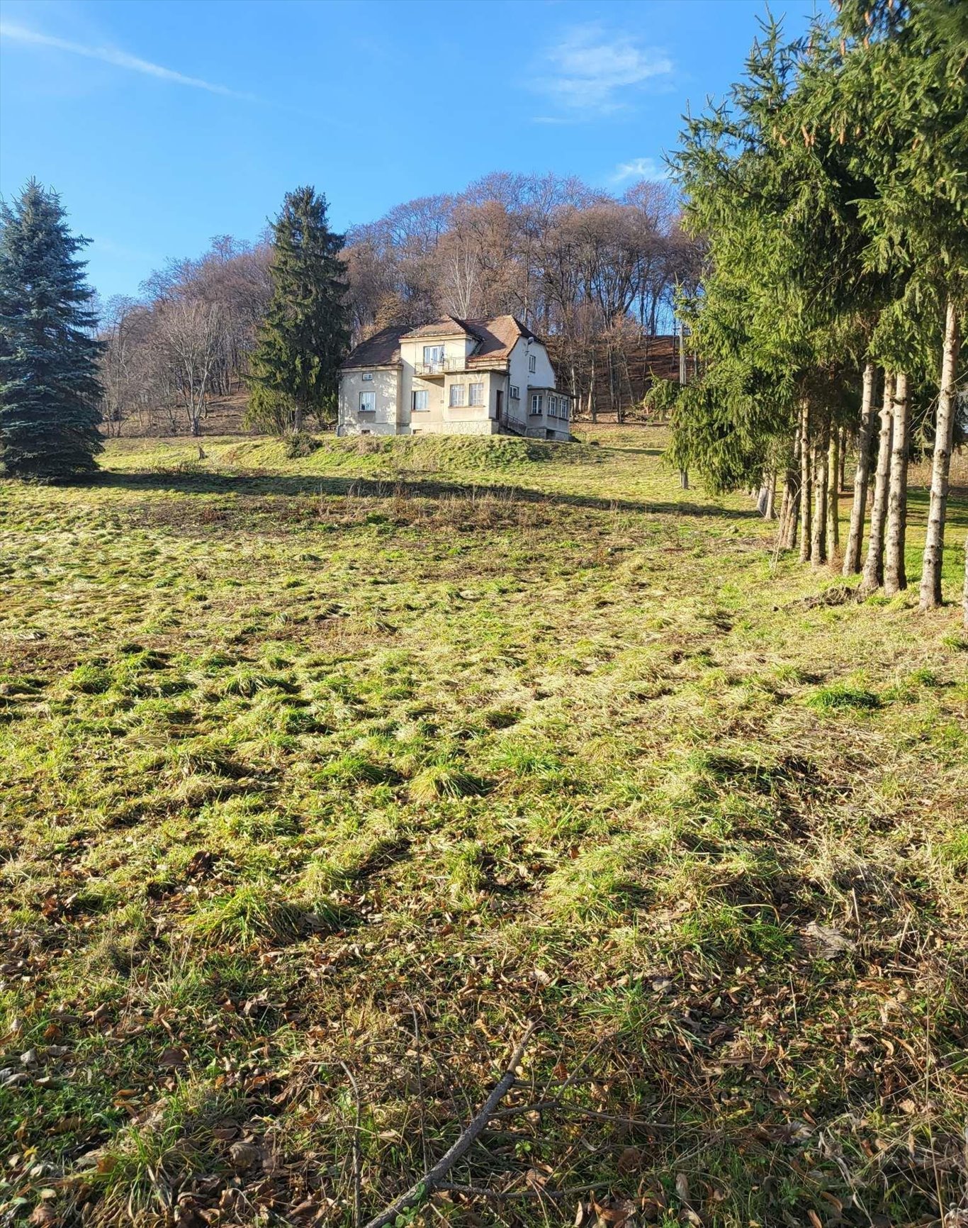 Sprzedam działkę komercyjną 2,1 ha z budynkami w Jurkowie Jurków  21 000m2 Foto 1