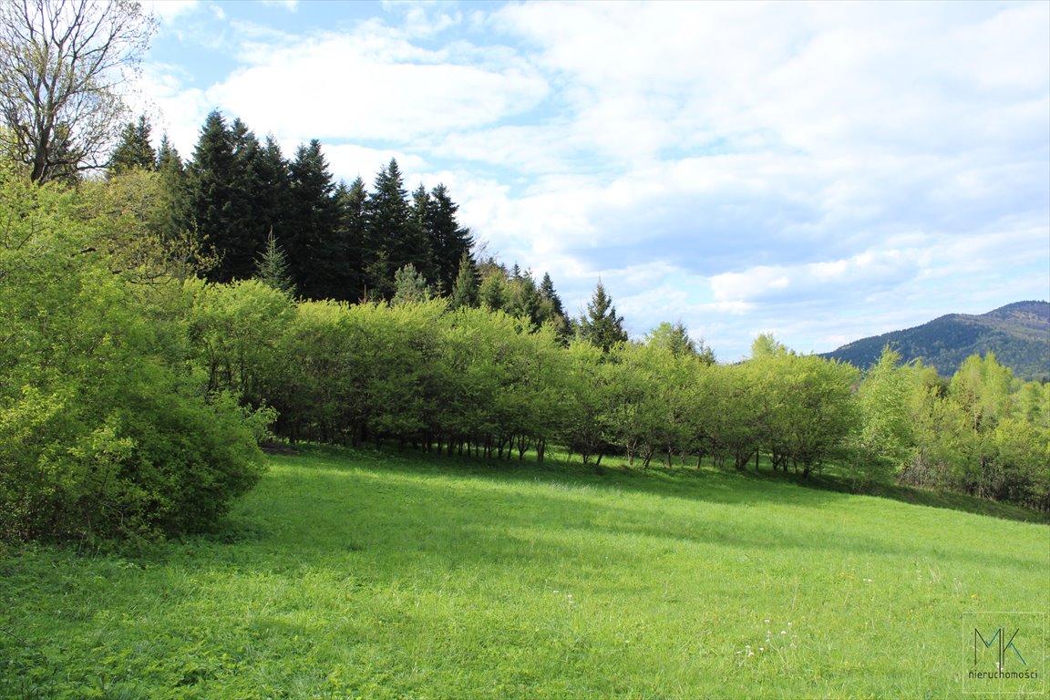 Działka budowlana na sprzedaż Wola Skrzydlańska  3 100m2 Foto 7