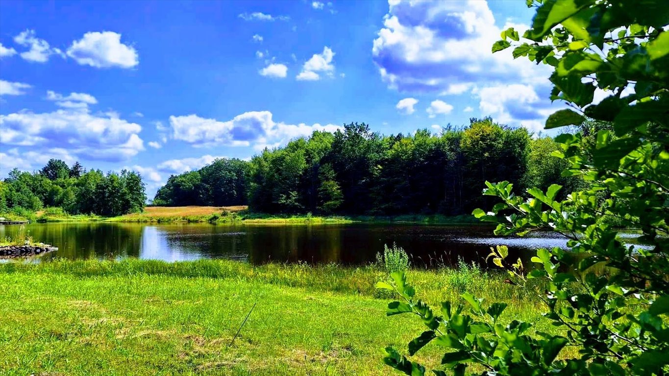 Dom na sprzedaż Toporzyk  300m2 Foto 8