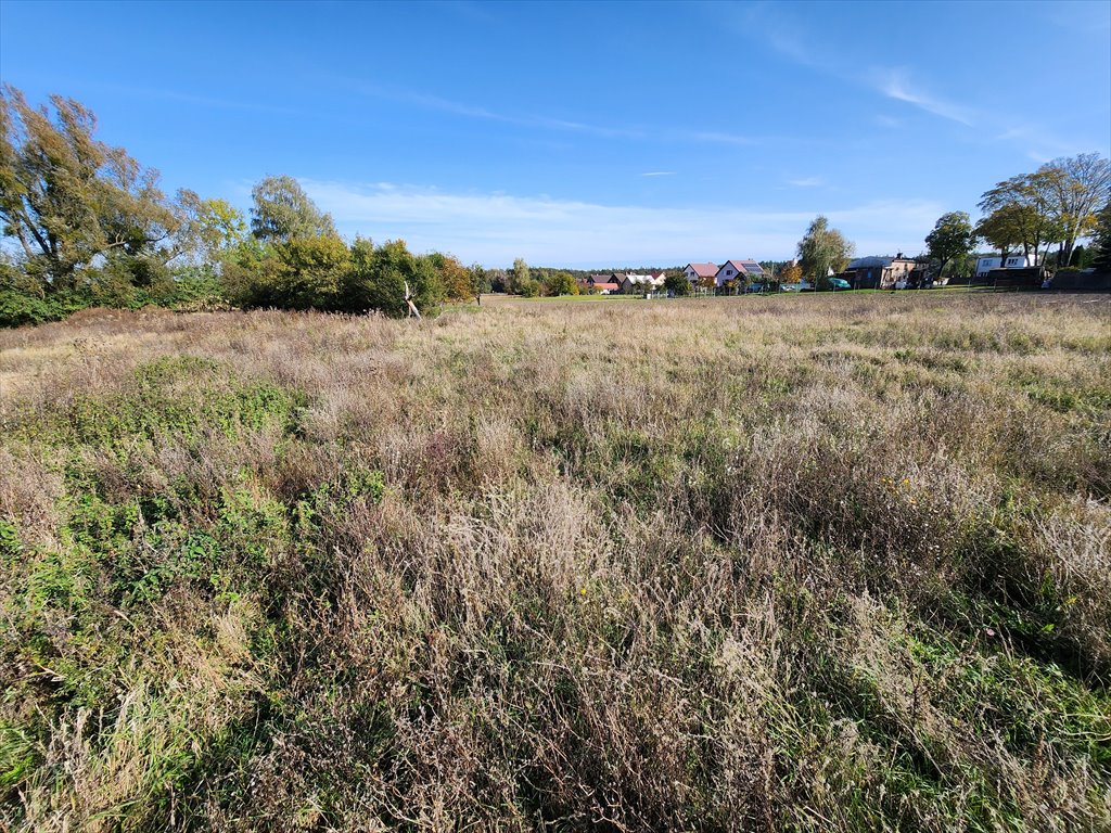 Działka budowlana na sprzedaż Chludowo, Maniewska  1 046m2 Foto 9