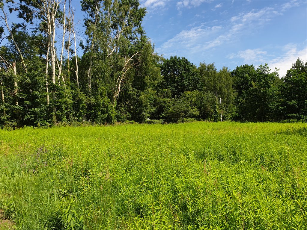 Działka budowlana na sprzedaż Nowy Prażmów  1 029m2 Foto 4