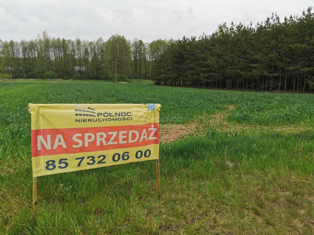 Działka rolna na sprzedaż Grabowiec  6 700m2 Foto 2