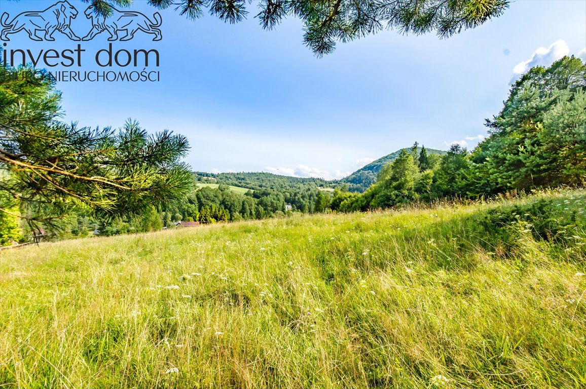 Działka rolna na sprzedaż Kunkowa  8 400m2 Foto 1