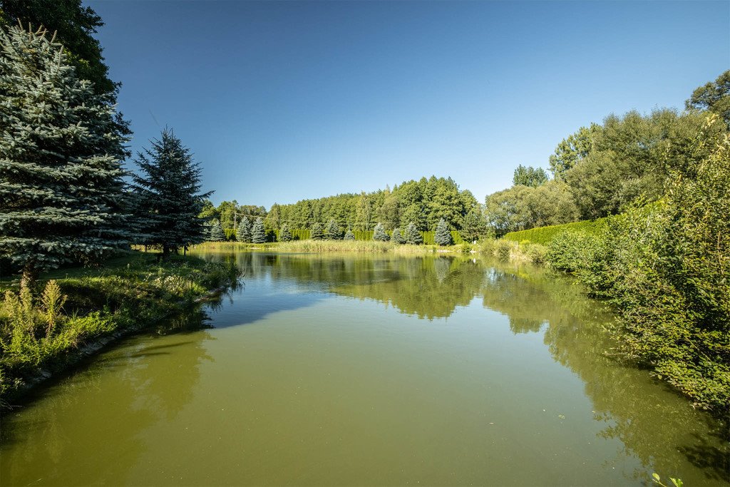 Dom na sprzedaż Kociołki  160m2 Foto 8