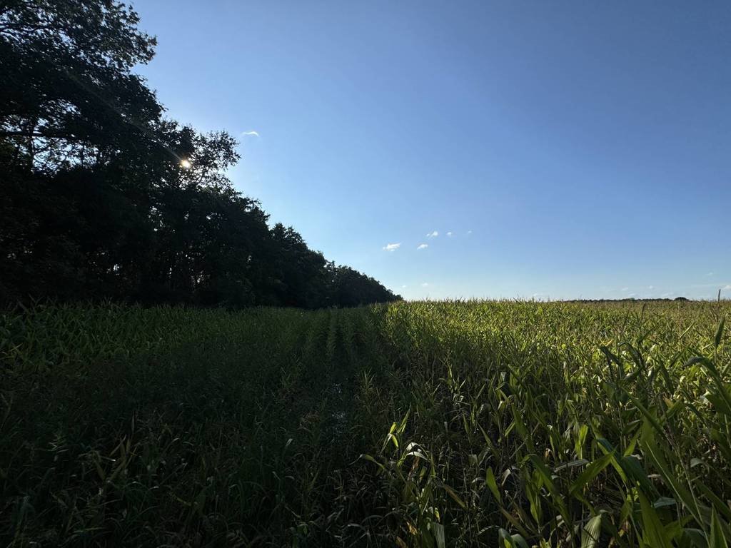 Działka budowlana na sprzedaż Ostrów Wielkopolski, Akacjowa  38 600m2 Foto 7