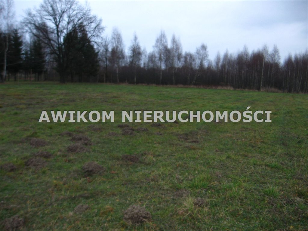 Działka budowlana 2250 m² - spokojna okolica w Jaktorowie Budy-Grzybek  2 250m2 Foto 1
