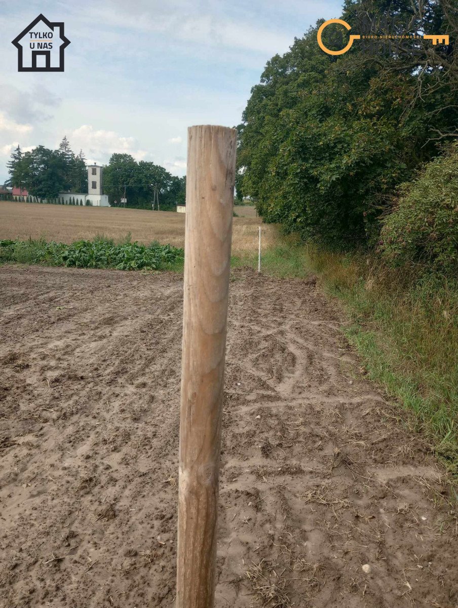 Działka rolna na sprzedaż Lisewo  2 300m2 Foto 3