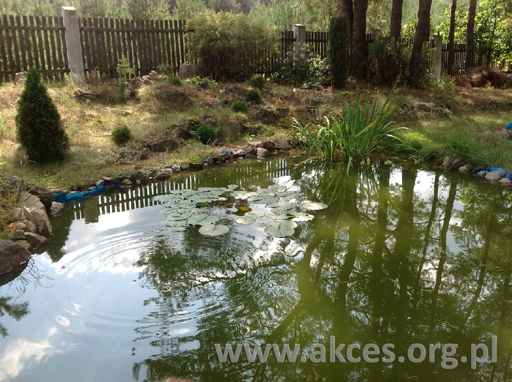 Działka 3623 m² z domem w stanie surowym, ogrodzona Olszewnica Stara  3 623m2 Foto 1