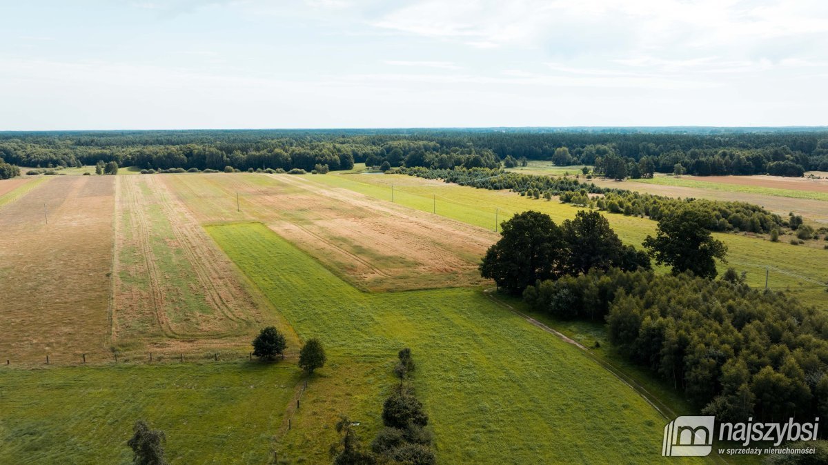 Działka rolna na sprzedaż Czermnica  17 100m2 Foto 9