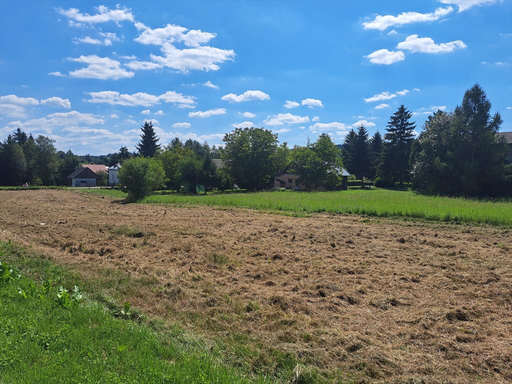 Działka budowlana na sprzedaż Żeglce  3 400m2 Foto 14