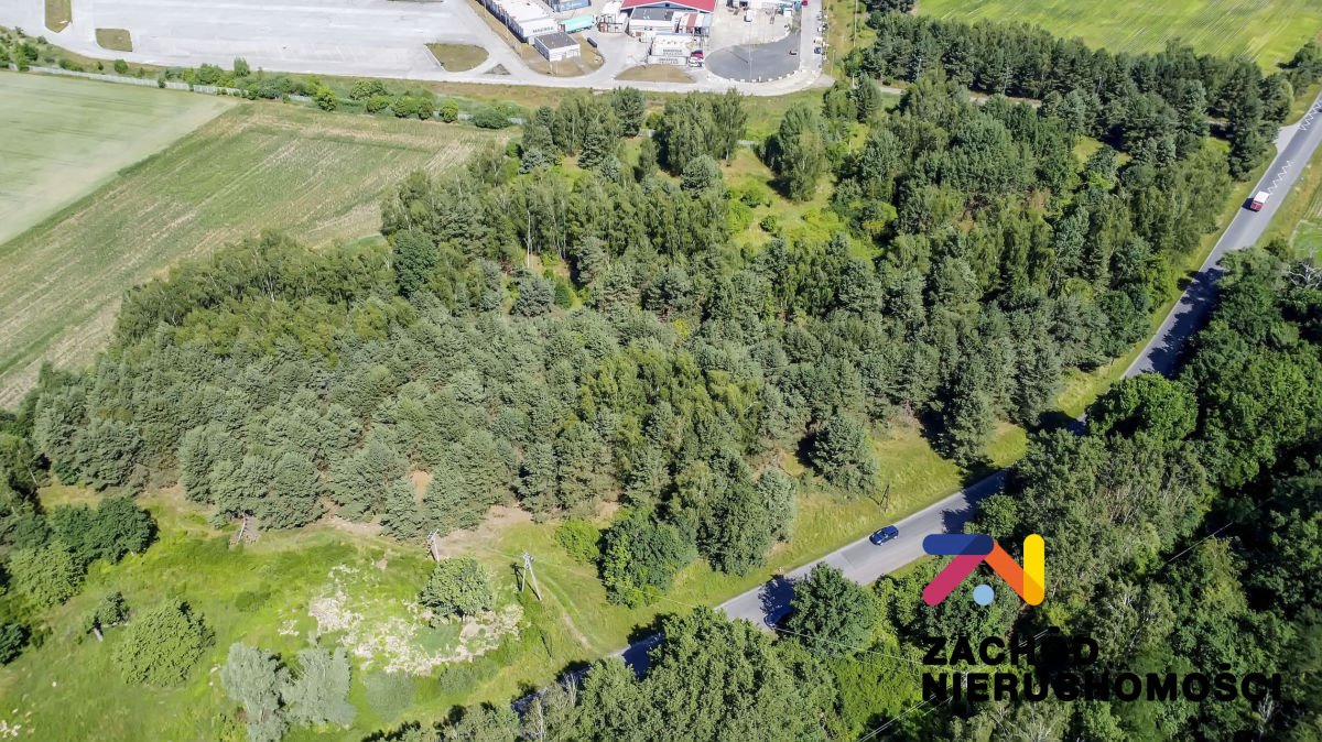 Działka pod inwestycję 37 400 m² z warunkami zabudowy Sękowice  37 400m2 Foto 1