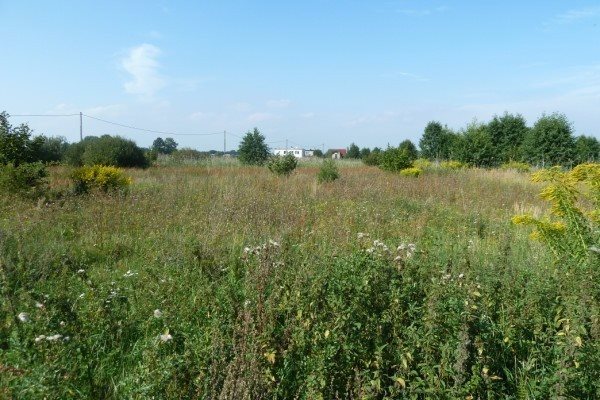 Działka budowlana na sprzedaż Gorzów Wielkopolski, Zieleniec 5 020m2 Foto 1 Działka budowlana na sprzedaż Gorzów Wielkopolski, Zieleniec 5 020m2 Foto 1