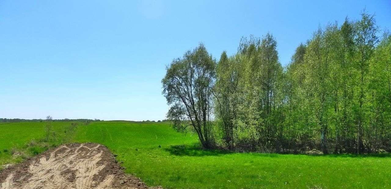 Działka rolna na sprzedaż Krasnopol  5 400m2 Foto 11