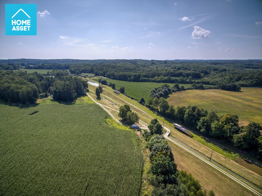 Działka siedliskowa na sprzedaż Krasin  12 000m2 Foto 9