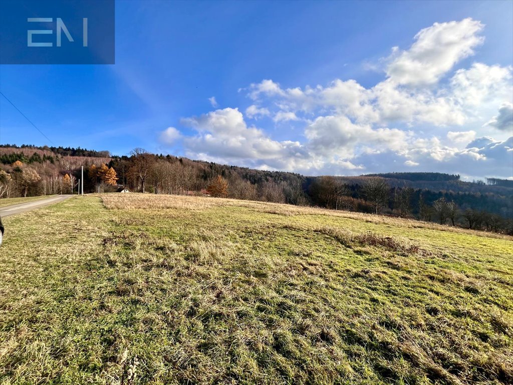 Działka budowlana na sprzedaż Żarnowa  5 000m2 Foto 4