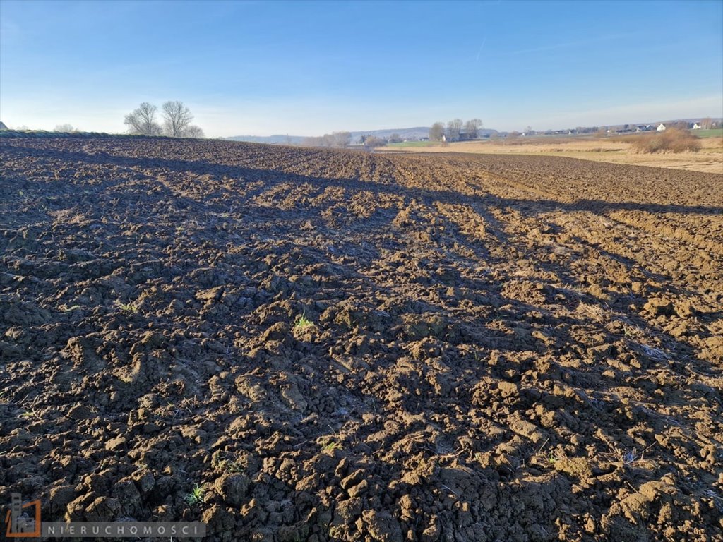 Działka budowlana na sprzedaż Wilków  600m2 Foto 2