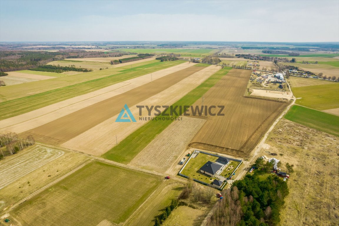 Działka rolna na sprzedaż Stara Dąbrowa  60 000m2 Foto 11