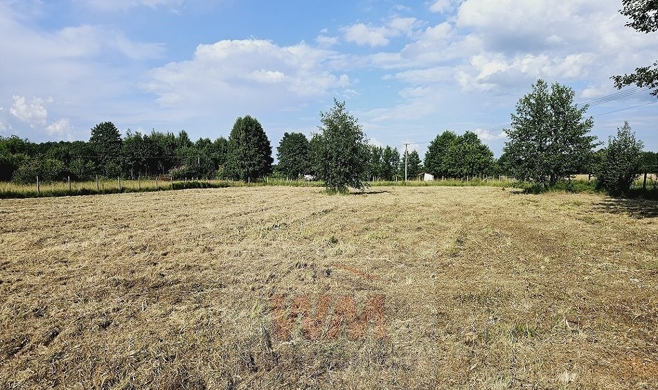 Działka budowlana na sprzedaż Grójec  3 050m2 Foto 6