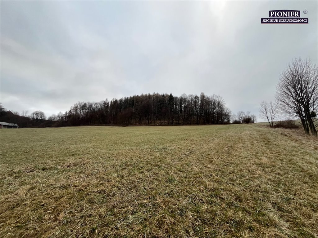 Działka budowlana na sprzedaż Ustroń  3 000m2 Foto 4